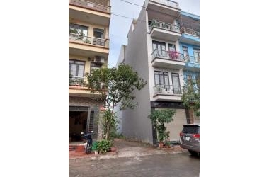 Đất vàng đấu giá Ngô Thì Nhậm vỉa hè thênh thang ô tô tải tránh kinh doanh đỉnh
